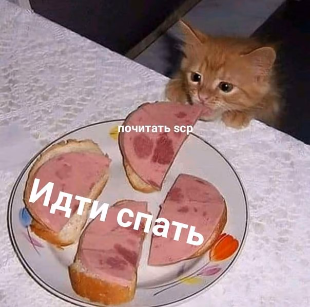 41393017e7f36c3efb4316462e387f63.avif