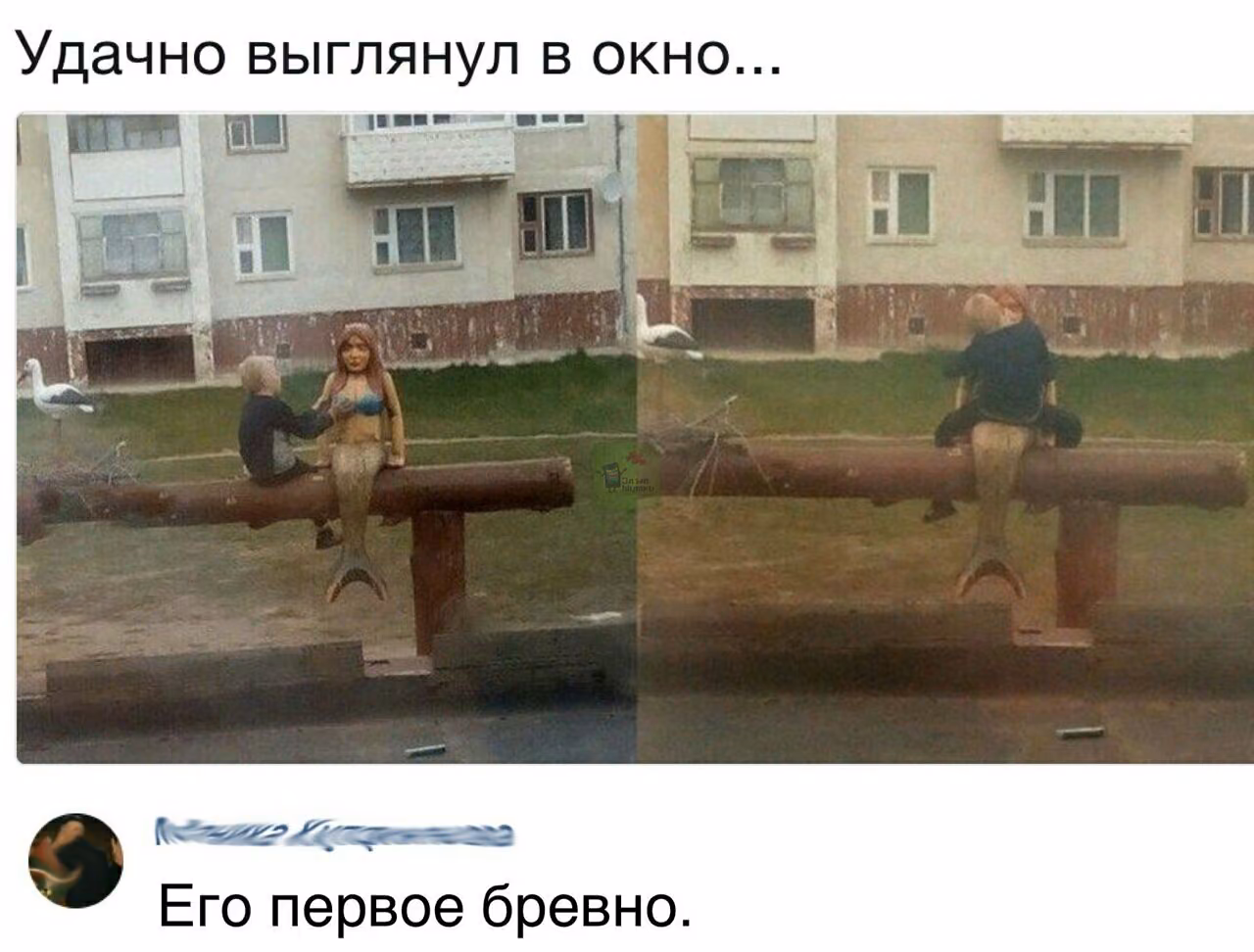 41454a572fd18c68ff8e1c458e335338.avif
