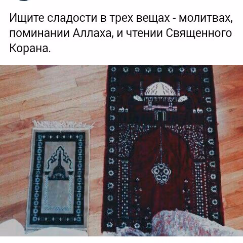 4163f6a6045133b4335ad6f5515550bc.avif