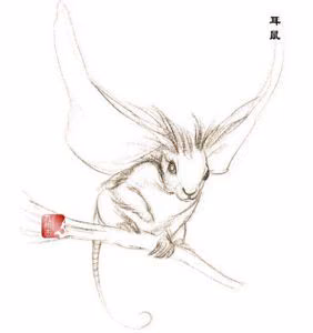 4177cee8229aa5e2c038479ca2445bdc.avif
