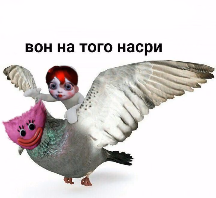 417ee95716a1a9c1ddbd426233179a81.jpg