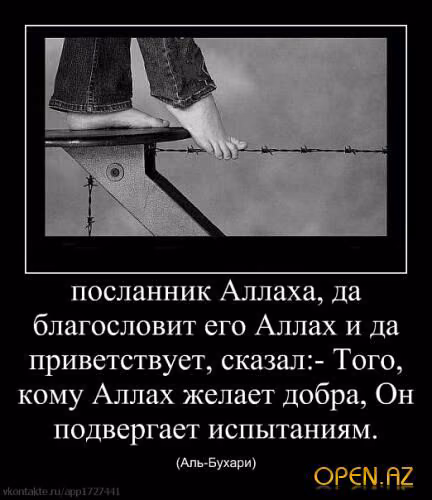 41801f572b176073c4e2fbf3ea25c3ef.avif