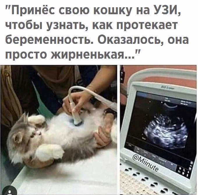 418a5fbc2da6865e8fc3f32ec1af5fe1.jpg