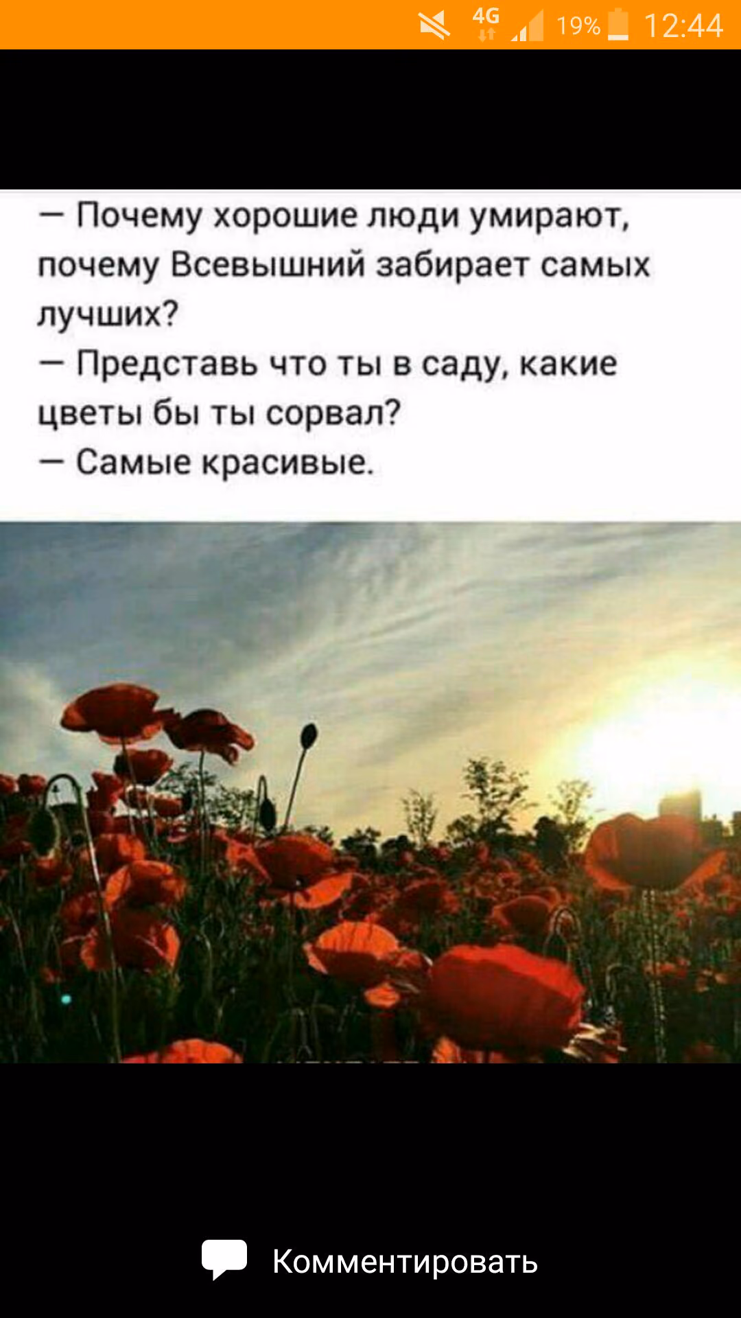 418d2b11c1c19be2f7bd9f2720ba00f1.jpg