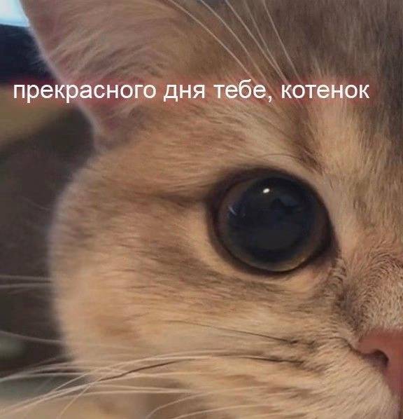 4196bfdf67962960065948f5bf0e0d99.jpg