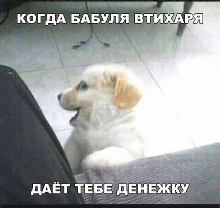 41a5a65f20b253413a607396590a0184.avif