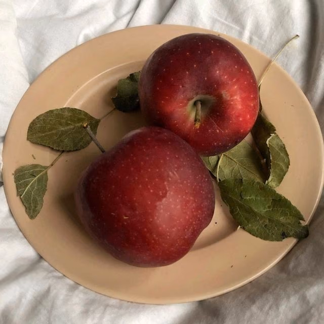 41a759040a47159105e79242c195f7b6.jpg