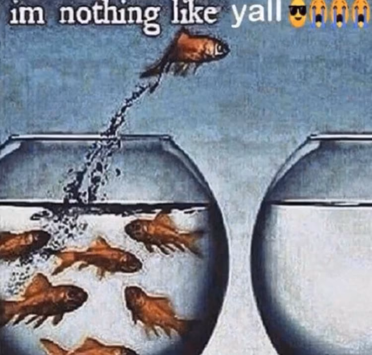 41aa6bd0b72a42c84a6237d1e9d3c89d.jpg