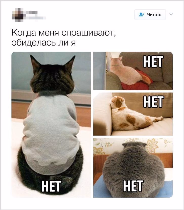 41b713c515db2eeb2237a9235fe3b154.avif
