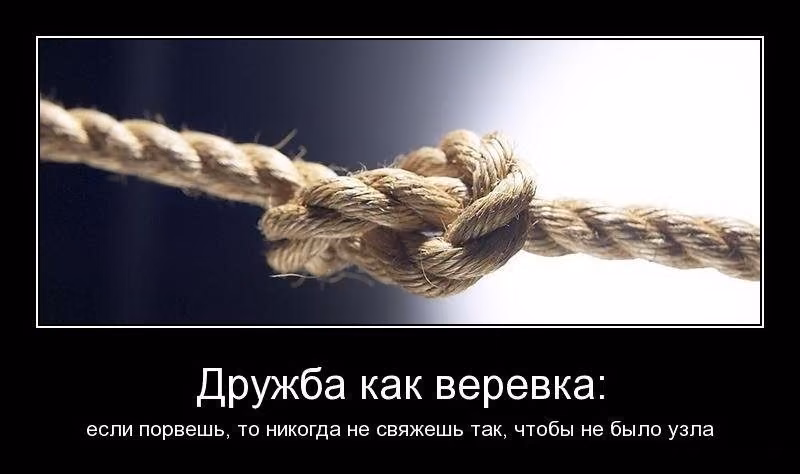 41c31dc2587ba3a21075fde1a7d98768.jpg