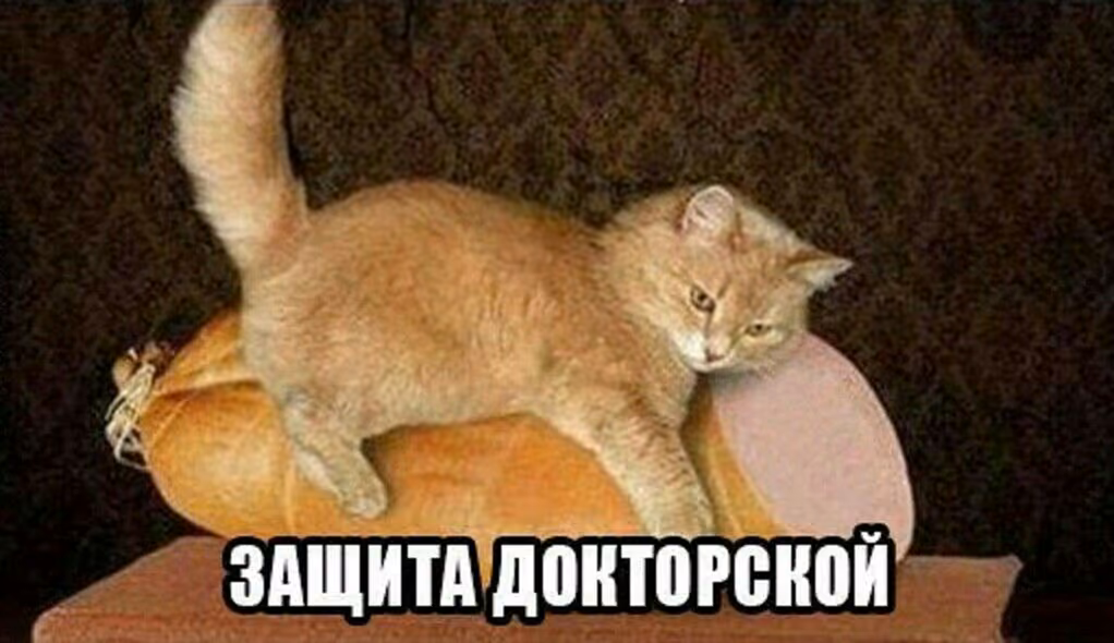 41c822d36c782dcfea3d0686306b4944.jpg
