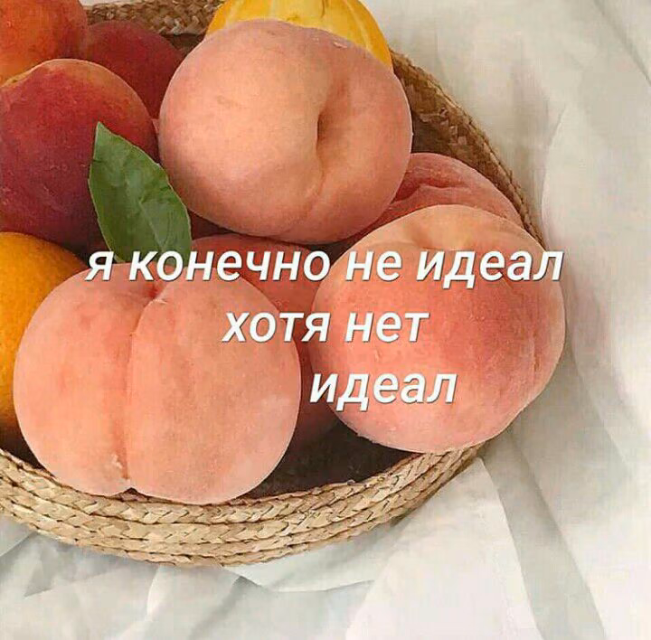 41d2ea870f0f7fe8e2dc5c2d8504b695.avif