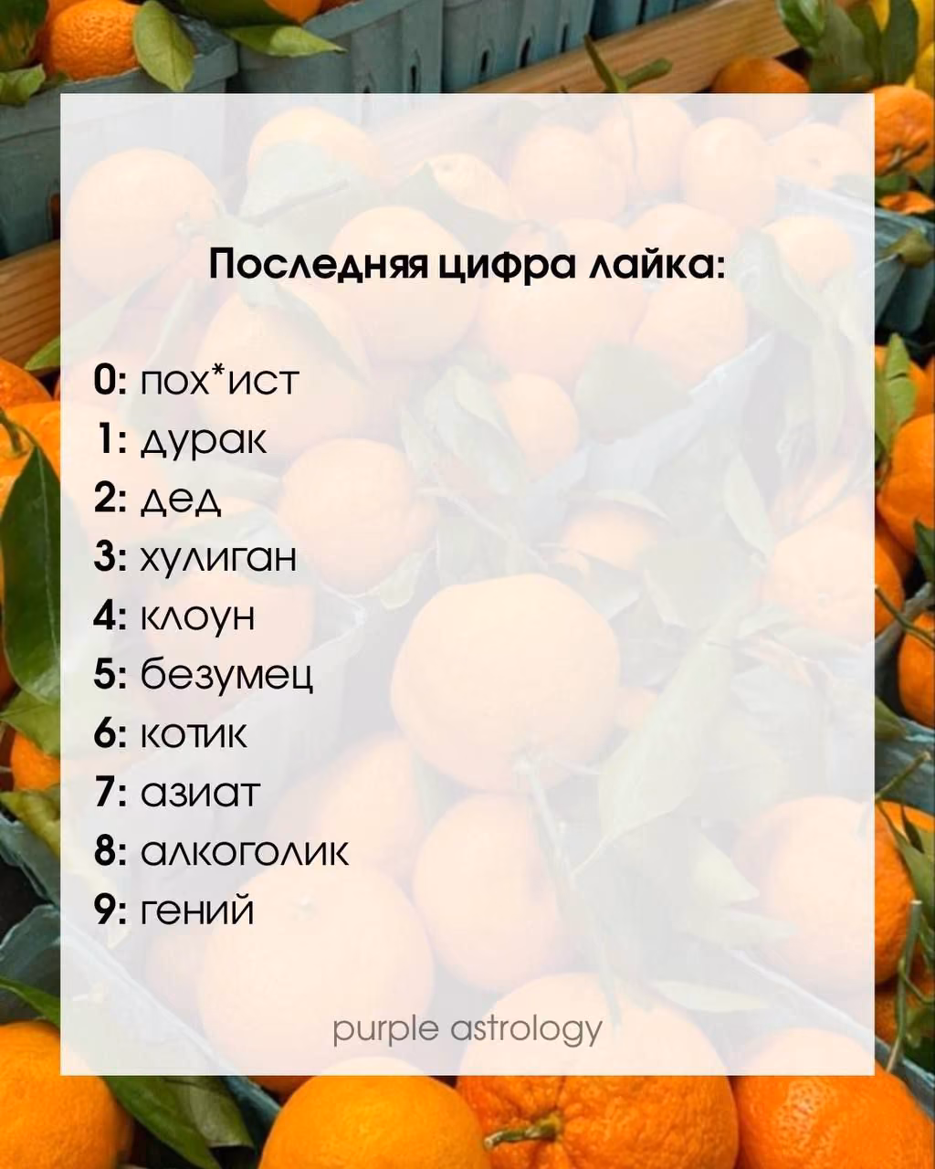 41e21eddb488165fcb0ef180aa0dd2bd.jpg