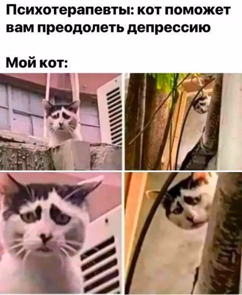 41f38ce57db62778a49d378c22df1989.avif