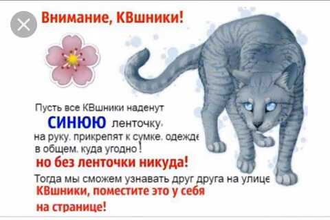 41f5d2b484af42c24687e2c50ae9af23.avif
