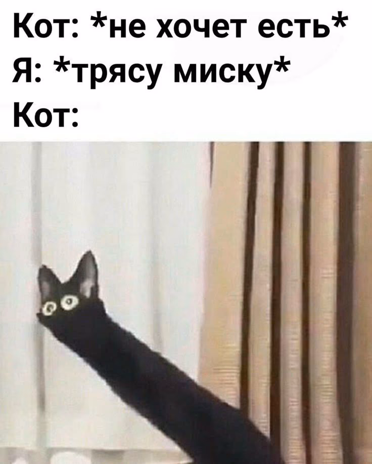 41f5fe504538d66a272356ac2aea9407.avif