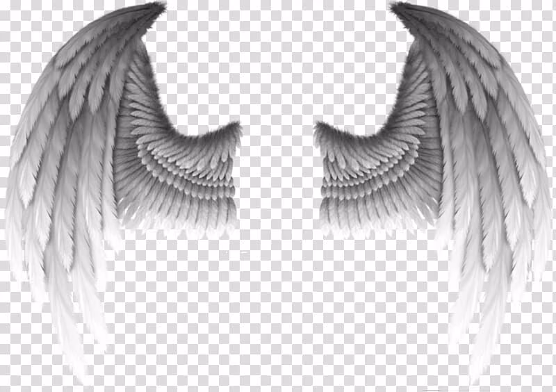 41fd7dcb1ac222b6253a9b9ee95b3846.avif