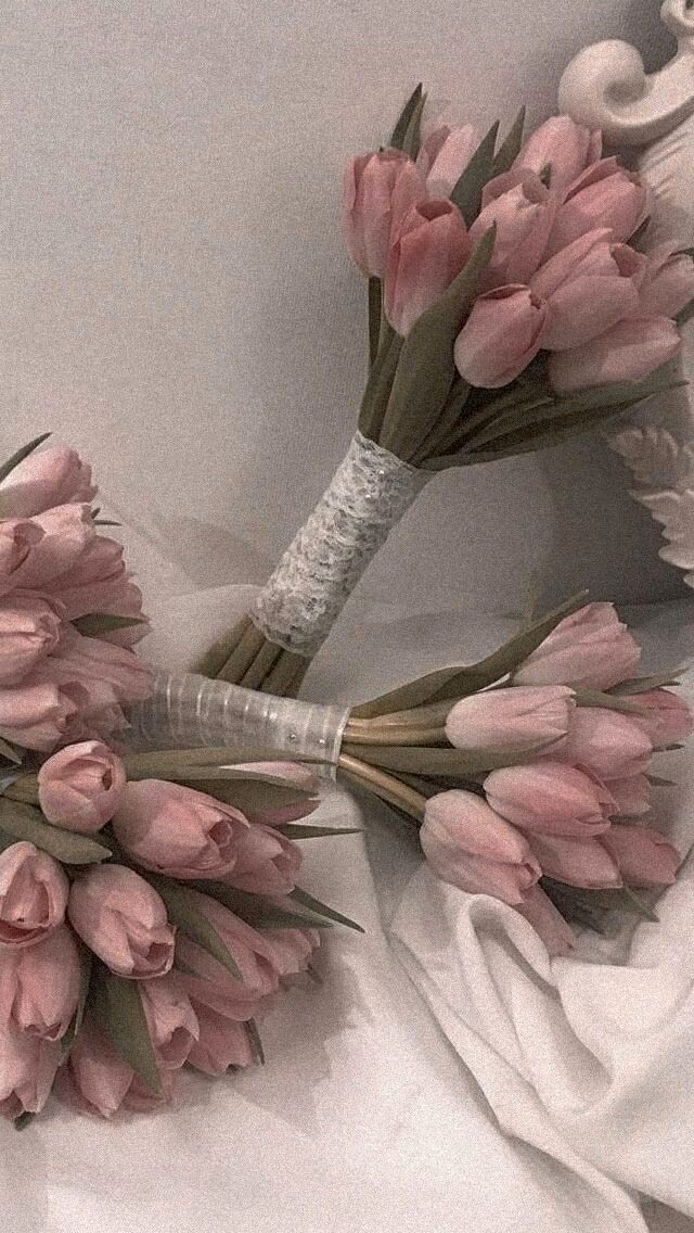 42016ffcba47c59090d647fe3ee27fd8.avif