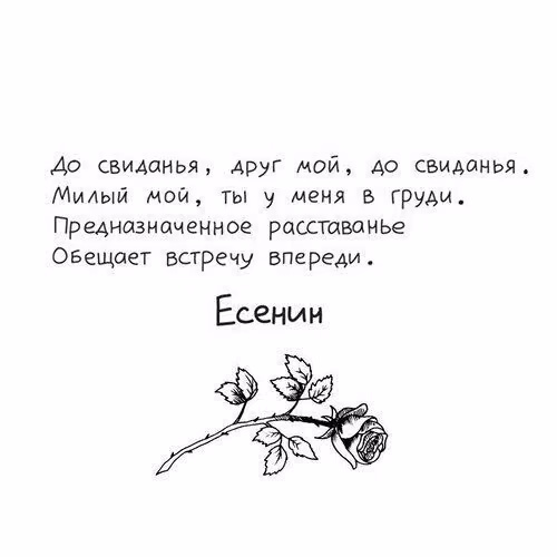 4219d377d213569494b06917ff5165b2.jpg