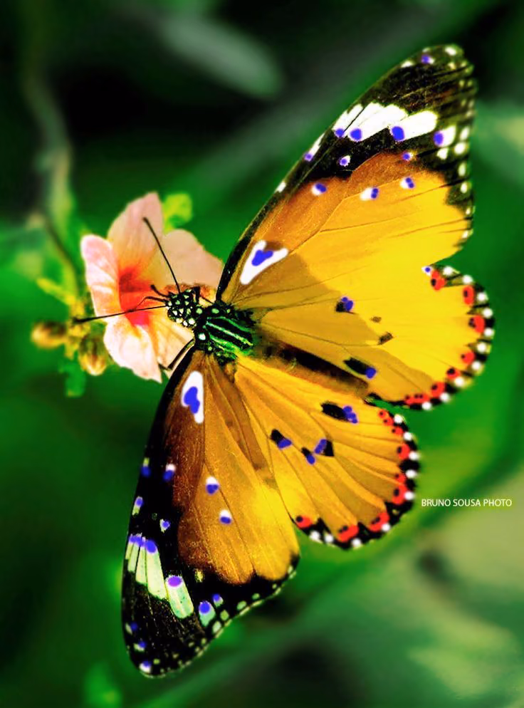 421d934970bc9d6d907cd15455da14f9.avif