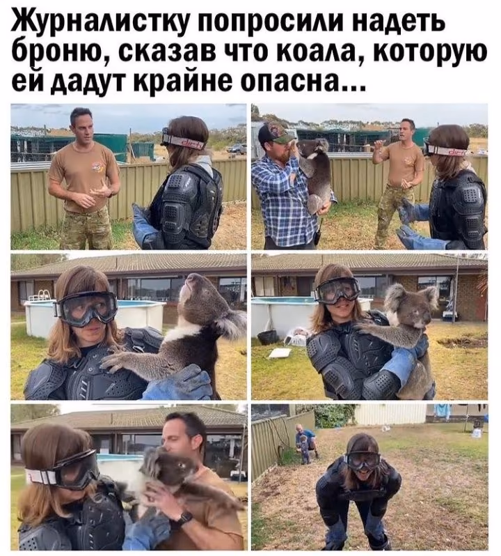 4224713f417c40a0be2b60a5b836dafb.avif