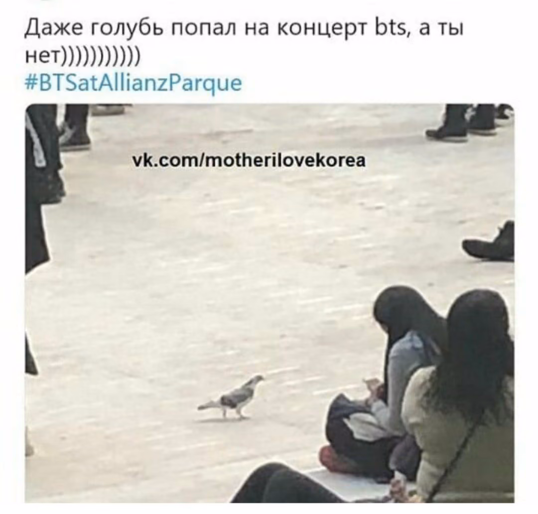 4232d5df53c1ad0b807140590d9fa68e.avif