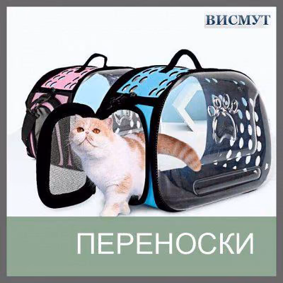 424484bf6d317f9730eb05cb54489541.jpg