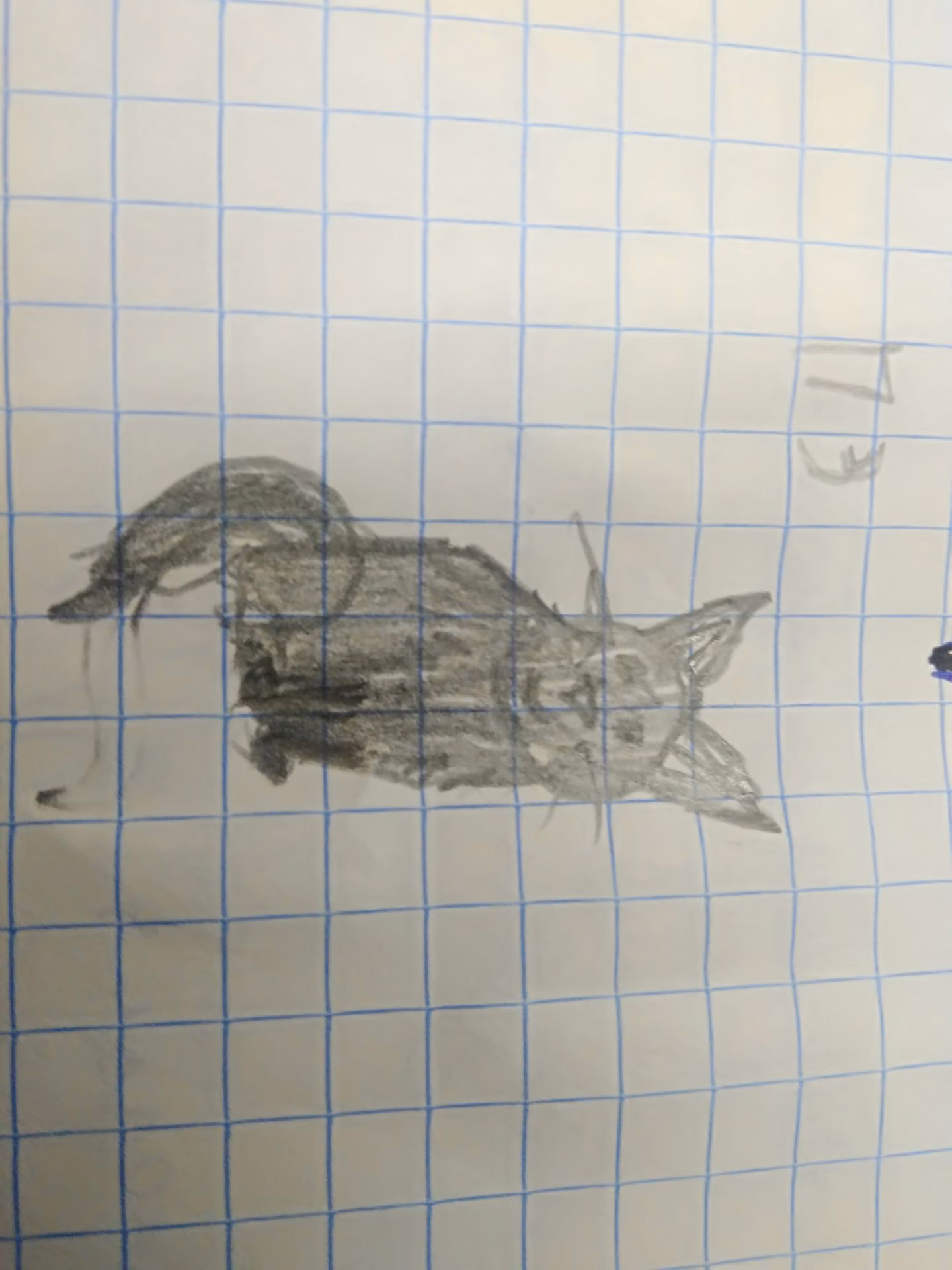 424653e3113544ab00b730a0130f6997.jpg