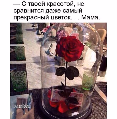 4246dd743e38b9f44a47fb94380cfb31.jpg