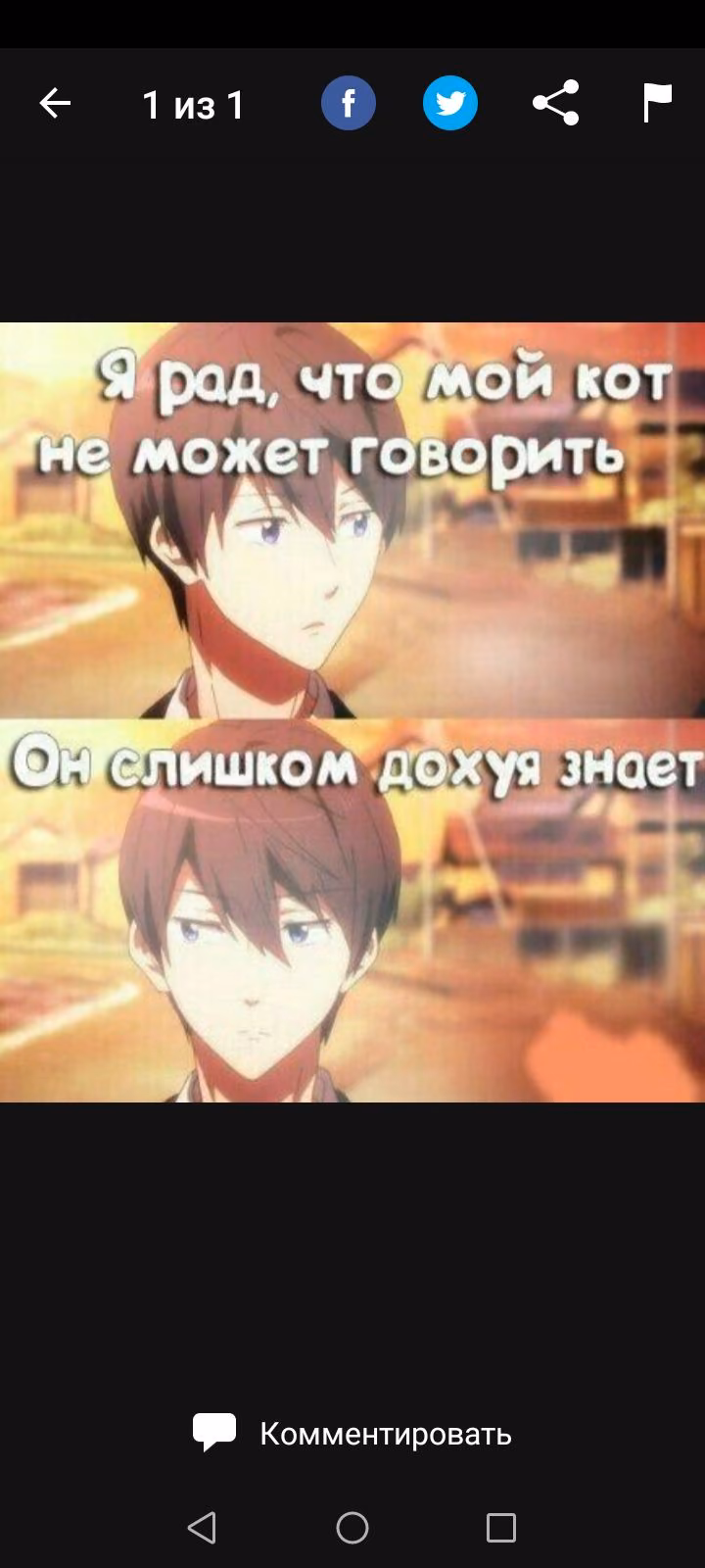 424b1a0f28e9fe9c0da052c3dfaad358.avif