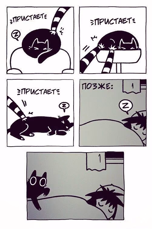 425f86df1720f1737c4e00488e232130.jpg