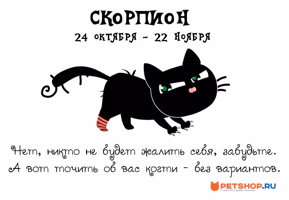 4288cf62d3cd3383d814928956f73c93.avif