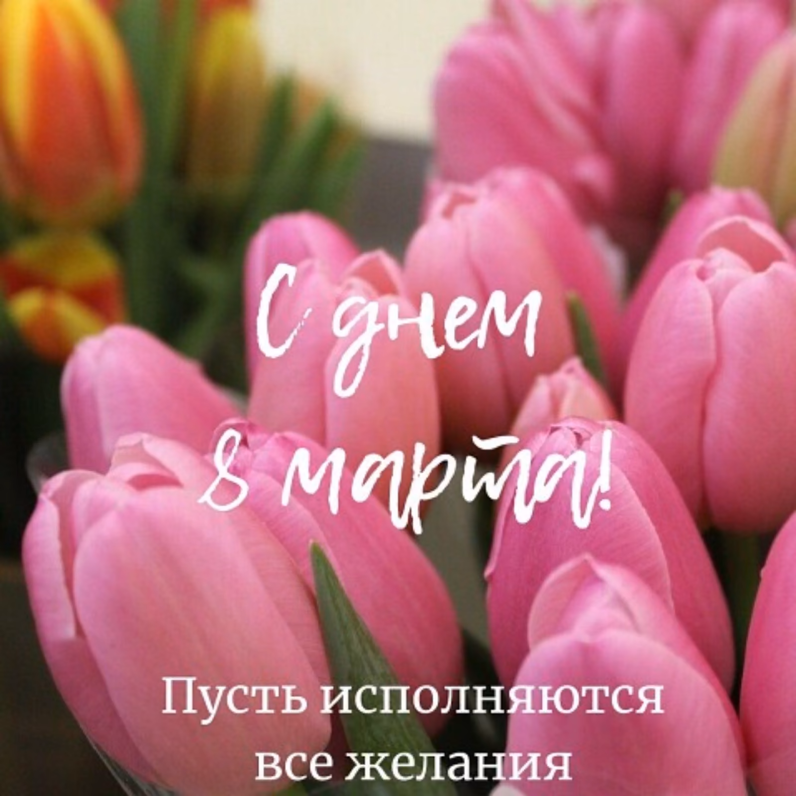 429acee235f5fcb668c03aff49a4aa75.jpg
