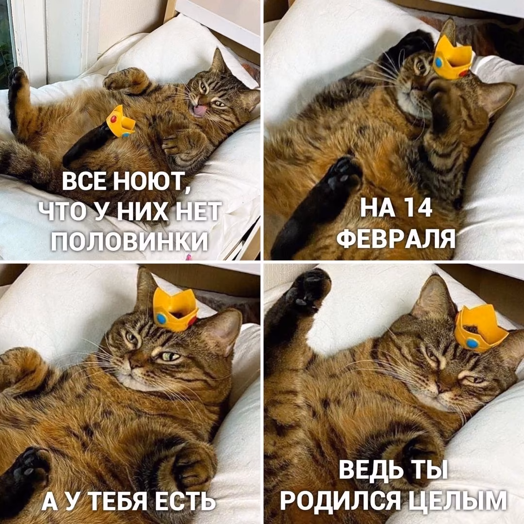 42ae7e8437a6fcdd3bd9944e68e8f8e3.avif