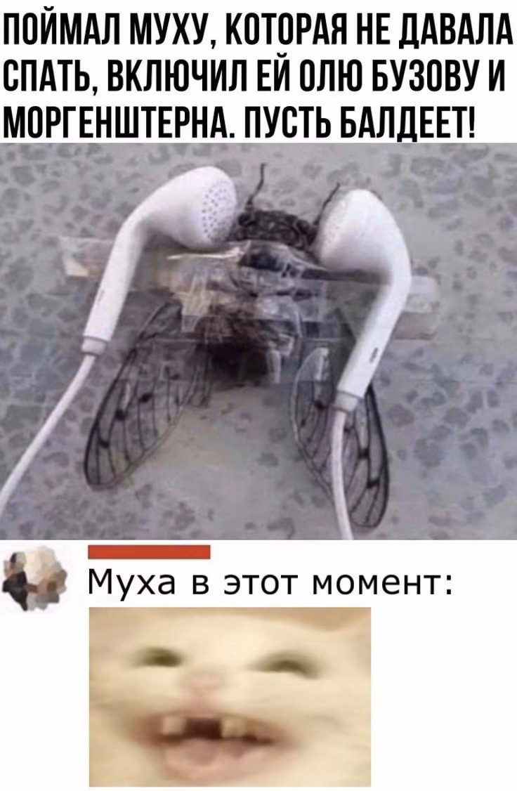 42c8e4ae37da4cd27c6208718eb74f5e.avif