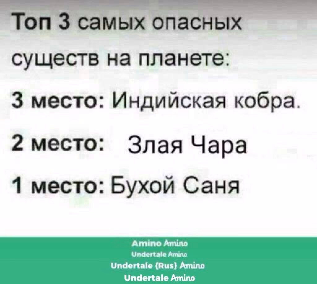 42ceec541ac293c13d874bbb51fff807.avif