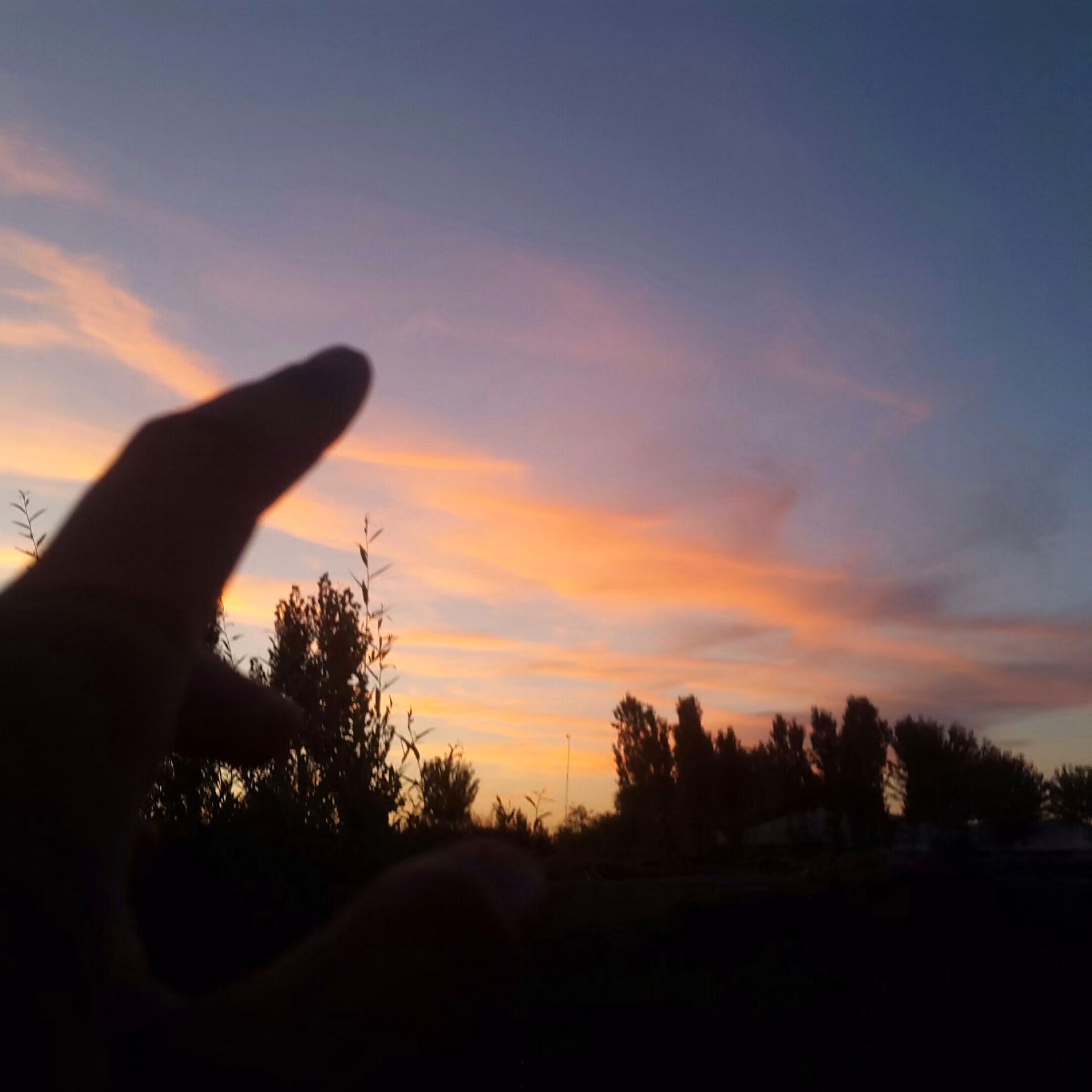 42d289b0a9cf04396d837f067d9e51ee.jpg