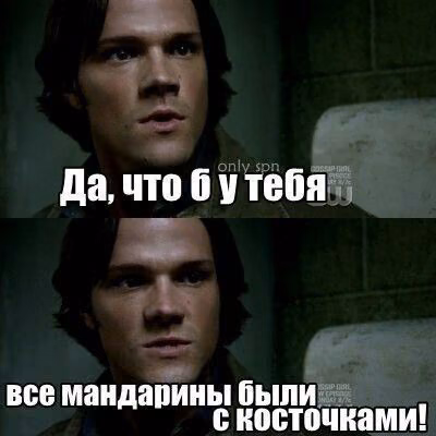42f510c9c445d5216c997b4c06be6954.avif