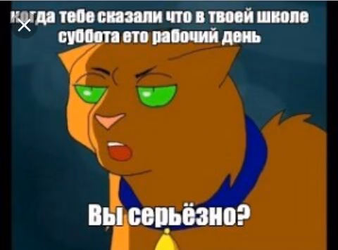 43008be3a697ca875461daee0384bf1f.avif