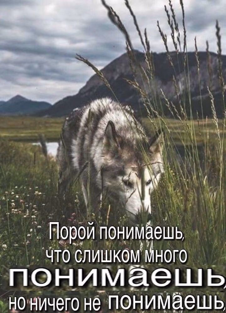 4317db97e21f205871fd9323e4f070a1.jpg