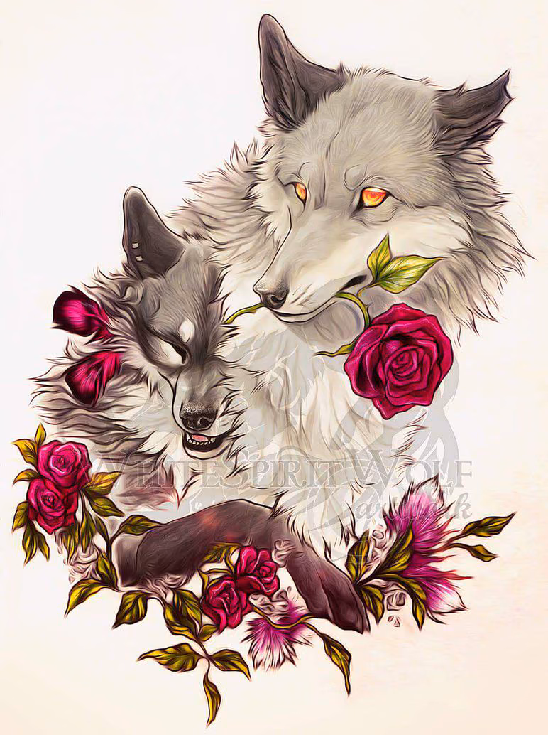 431e00723bab44ec64f9495c868c47d1.jpg