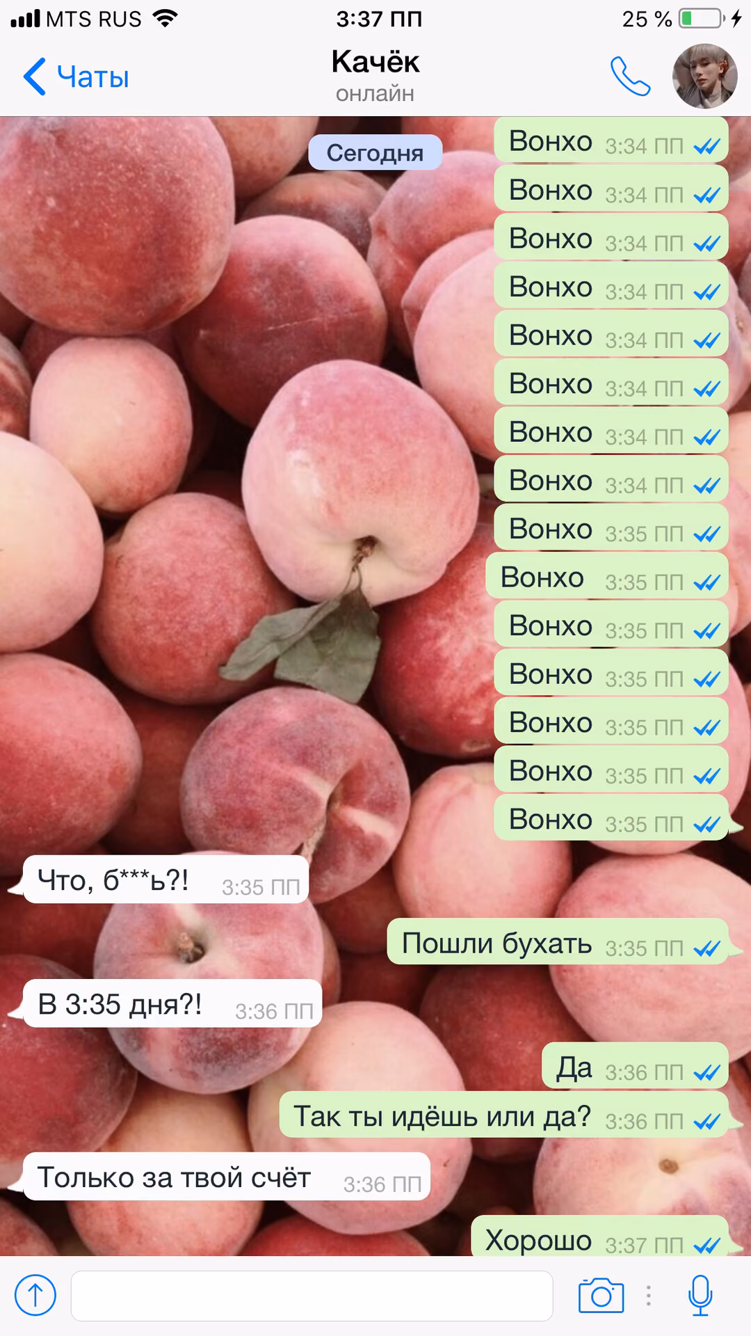 432c94f60b62318f587ad43961f89e4d.avif