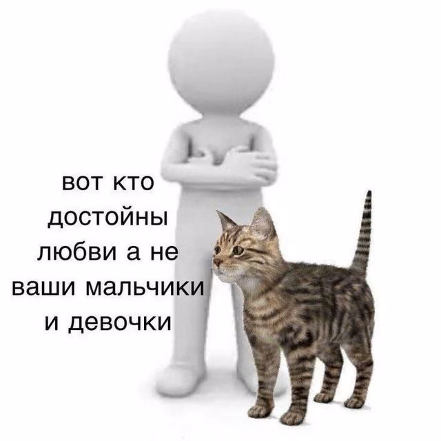 4332374edff7eac3aad2719f671167eb.avif