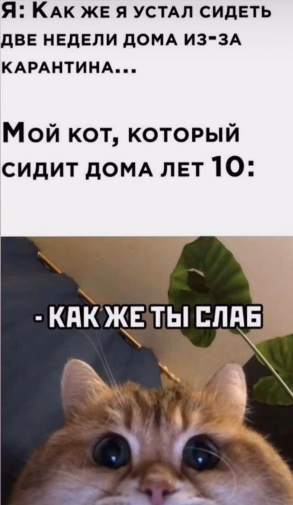 4338a912335961334e3254ae9210a6eb.avif