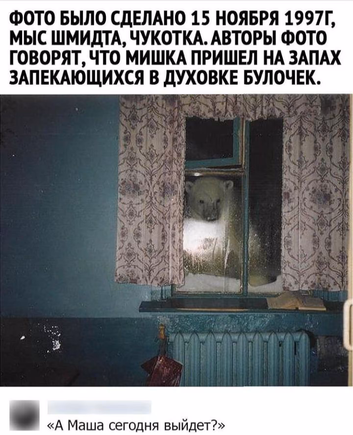 434ecfa40e37e62aedeb1f5b302ccb0e.avif