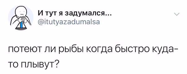 435ac13ca6213487401c4548595b8ebb.jpg