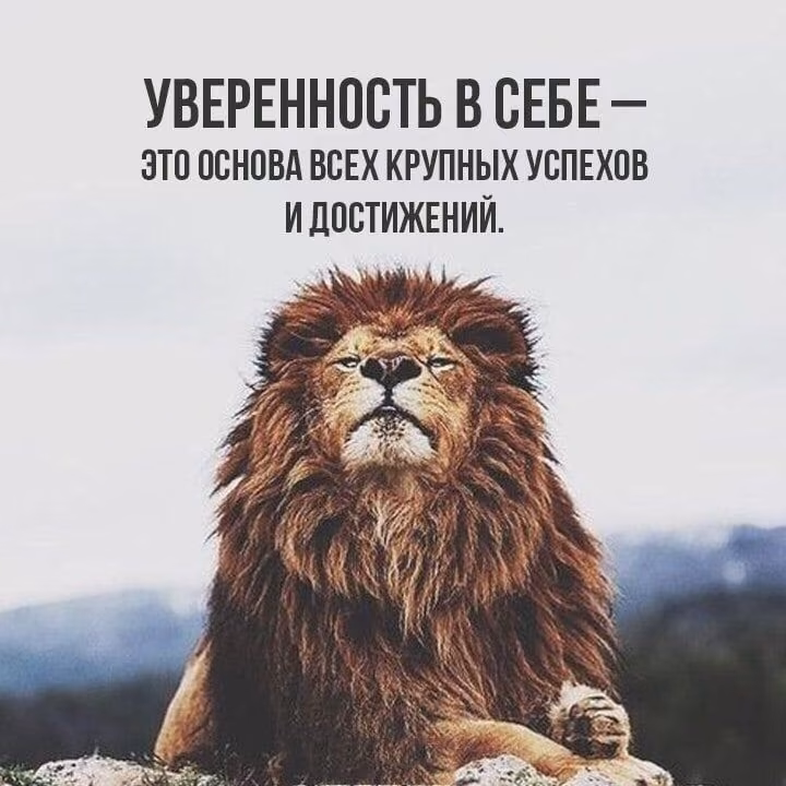 435b841b28ad7b46d99fe498eaa5fd15.jpg
