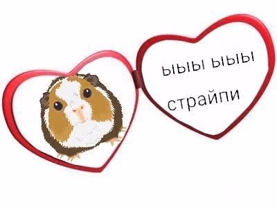 4366384a52a6e0029aaceea83ee7f51c.jpg