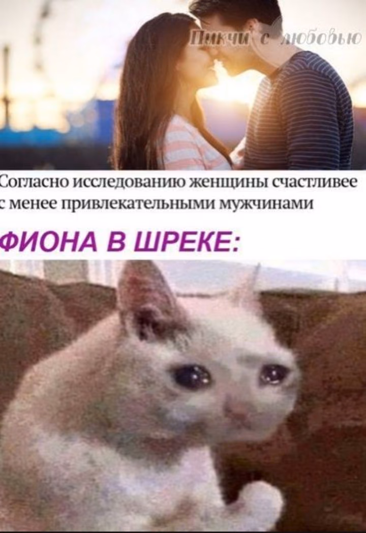 4379dfd8e972bed58ac30a72f17158f6.avif