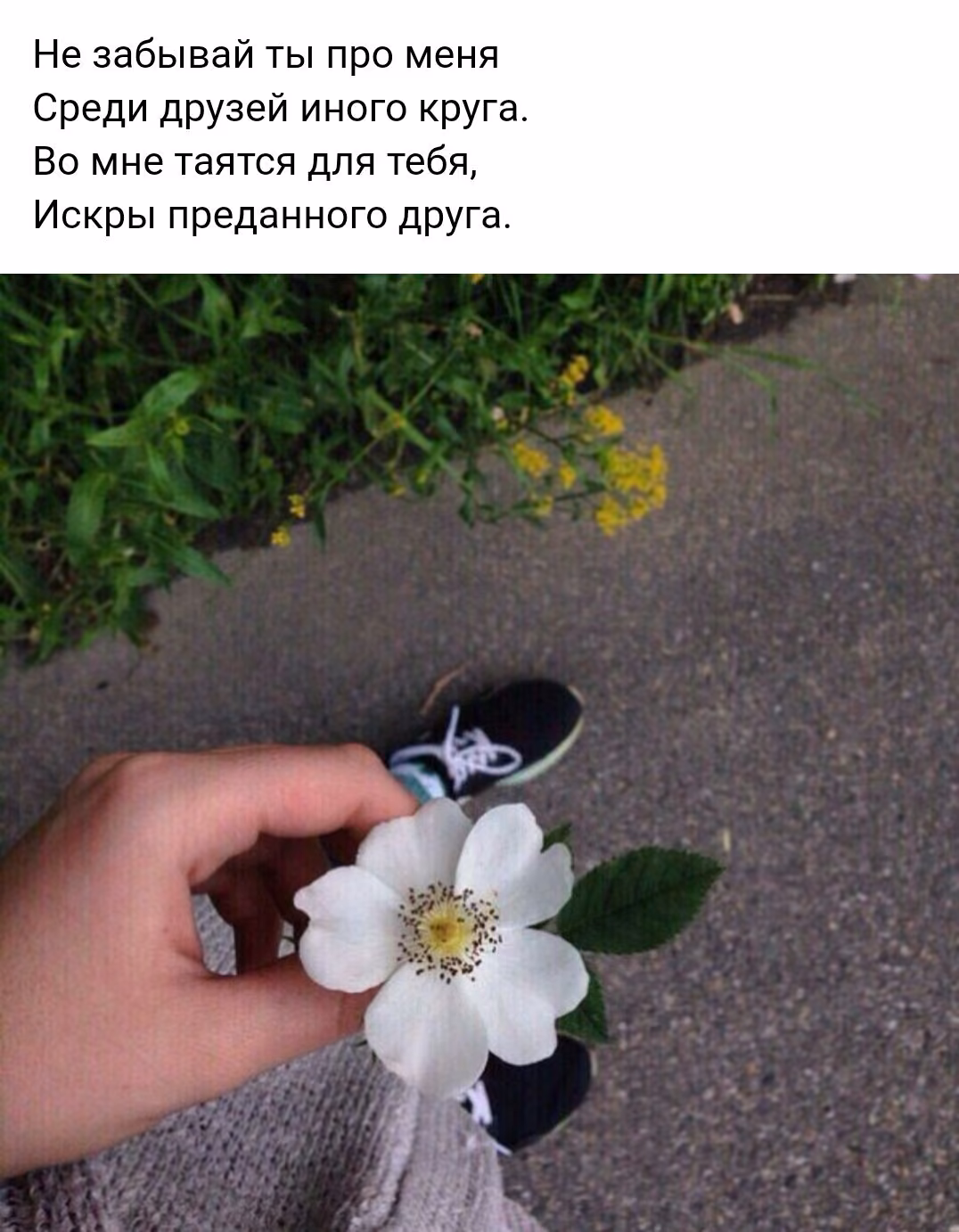 437f71cab47af49ffff3928aa7b4d372.jpg